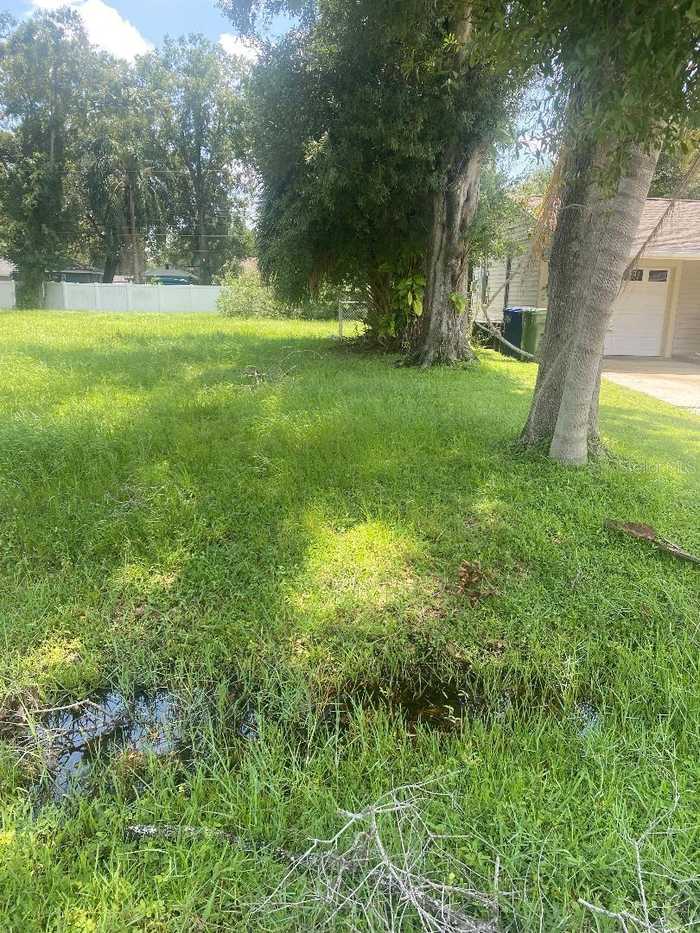 photo 2: 2112 W FARWELL DRIVE, TAMPA FL 33603