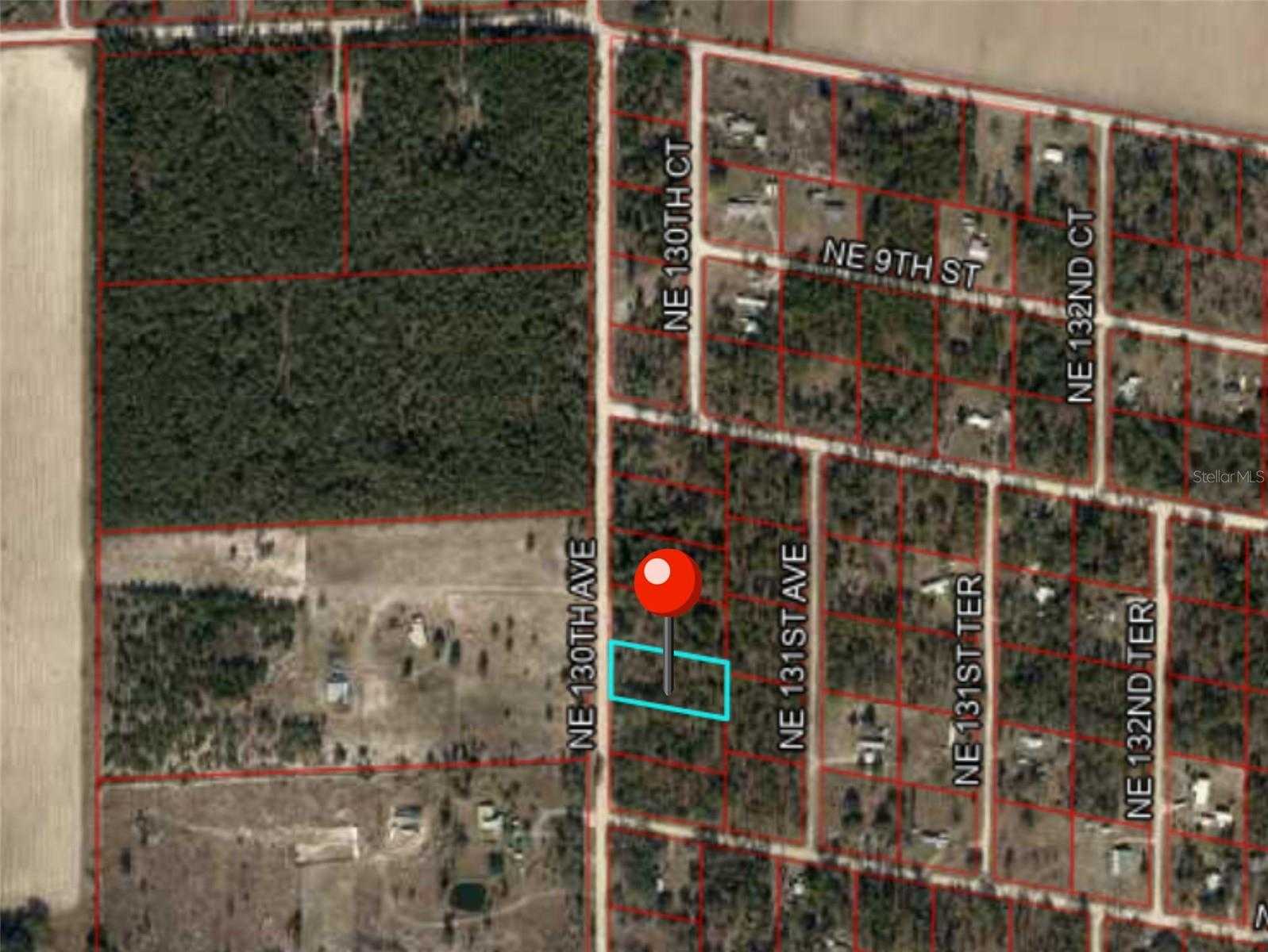 photo 3: 631 NE 130 AVENUE, WILLISTON FL 32696