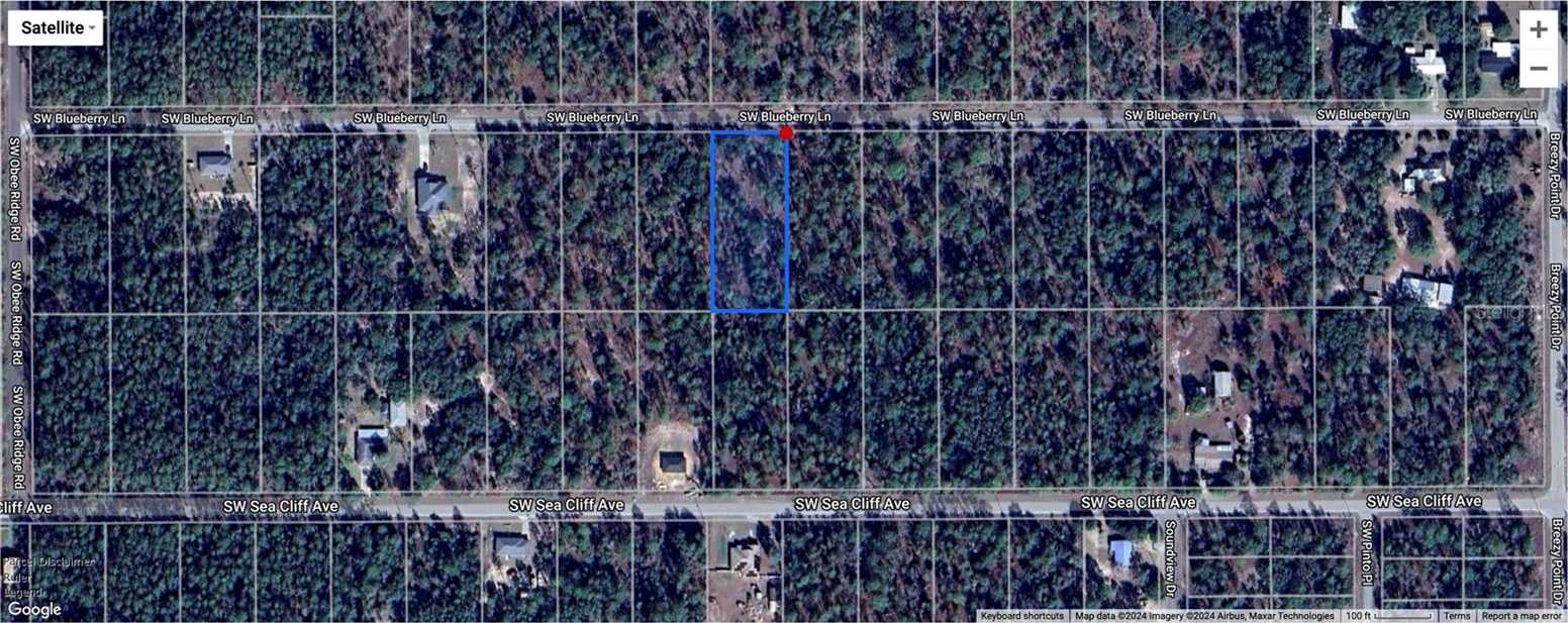 photo 1: TBD SW BLUE BERRY LANE, DUNNELLON FL 34431