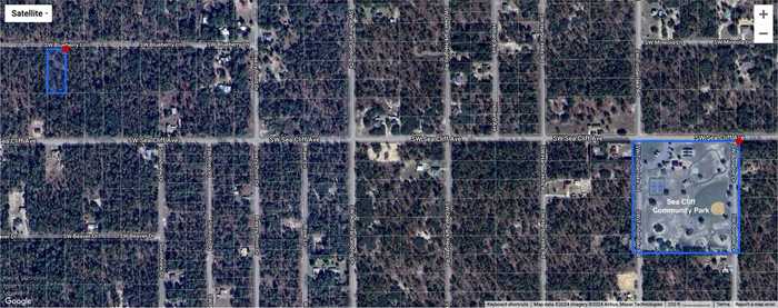 photo 2: TBD SW BLUE BERRY LANE, DUNNELLON FL 34431