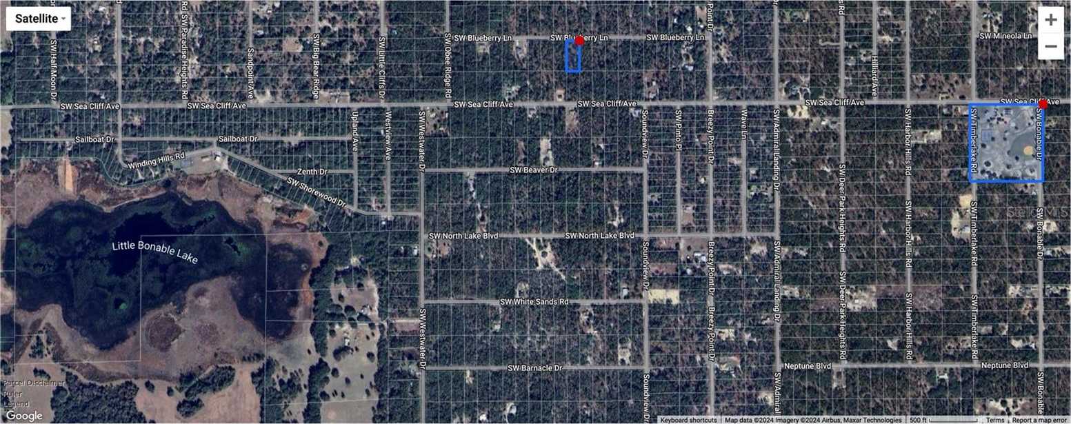 photo 3: TBD SW BLUE BERRY LANE, DUNNELLON FL 34431