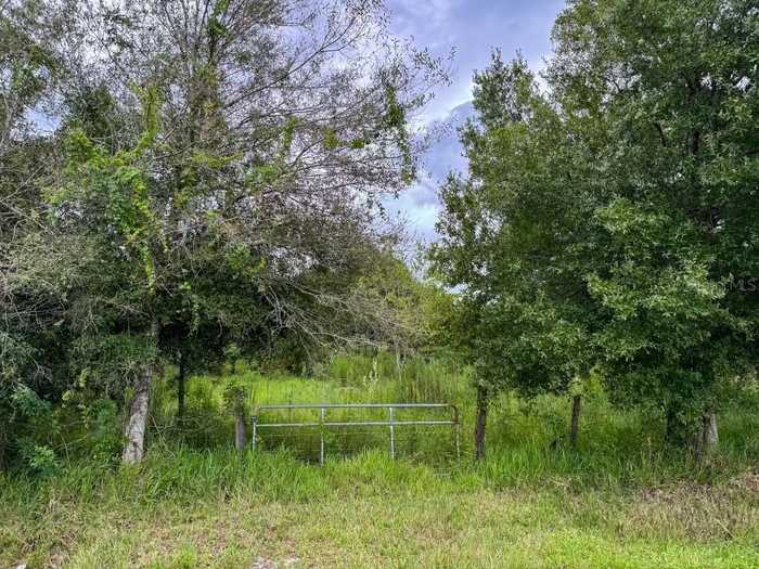 photo 1: 444 NE 64TH AVENUE, OKEECHOBEE FL 34974