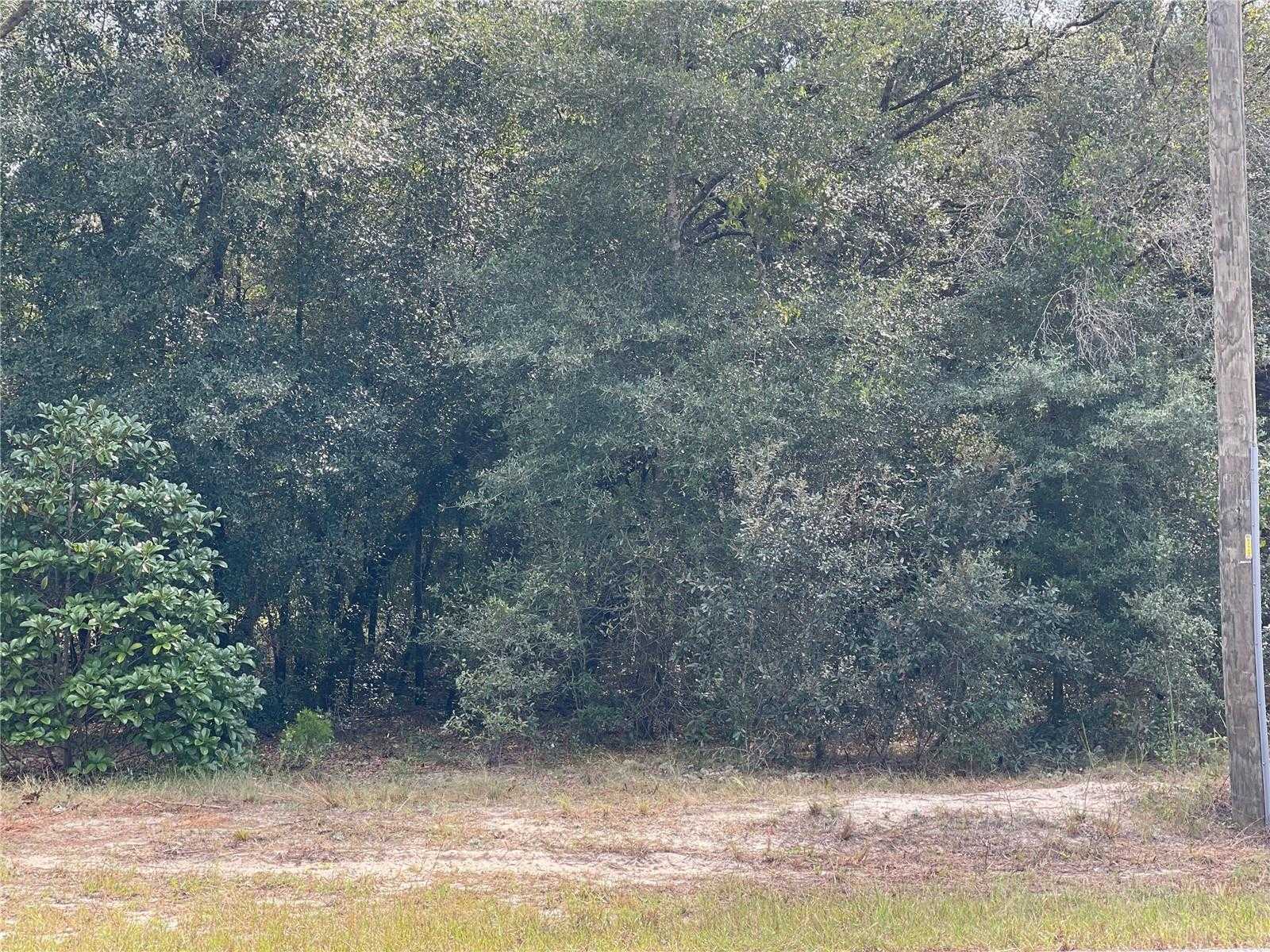 photo 2: Lot 6 - 00 SW GREEN BAY DRIVE, DUNNELLON FL 34431