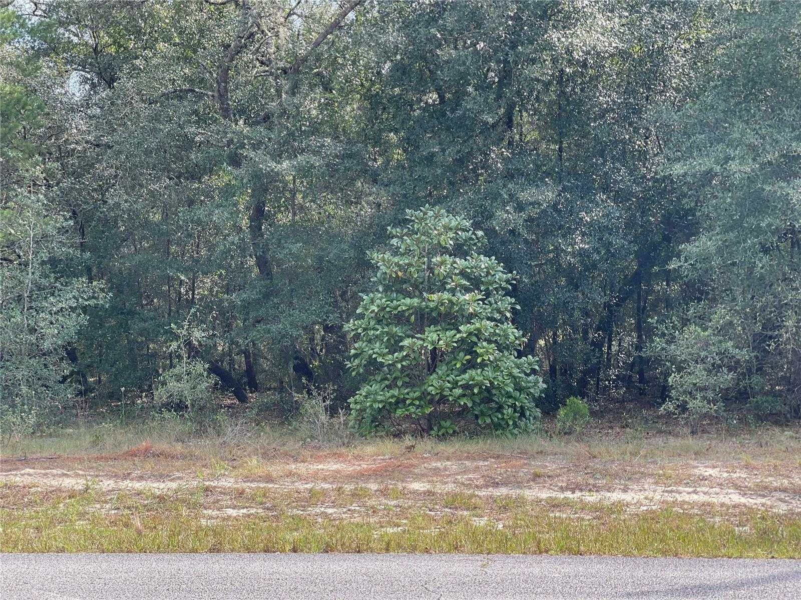 photo 3: Lot 6 - 00 SW GREEN BAY DRIVE, DUNNELLON FL 34431