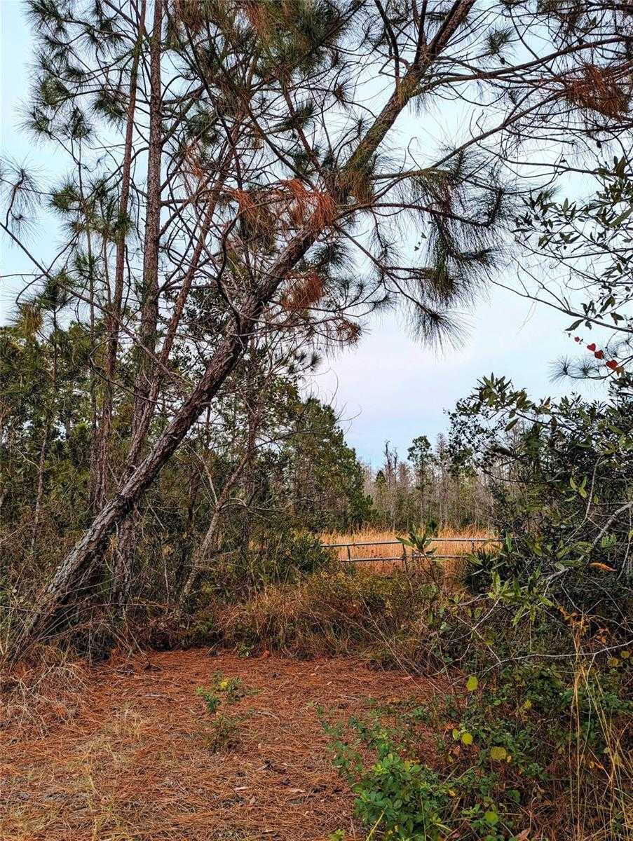 photo 1: SWEET HILL RD, POLK CITY FL 33868