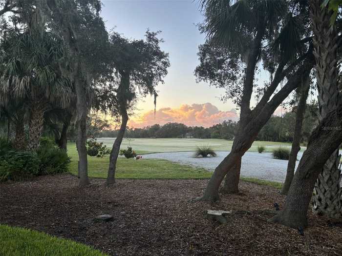 photo 85: 544 BOTTLEBRUSH COURT, NEW SMYRNA BEACH FL 32168