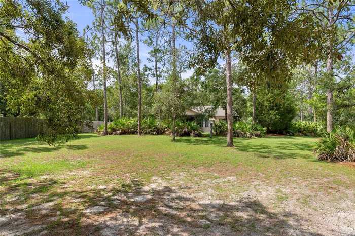 photo 46: 8991 LONG LAKE AVENUE, WEEKI WACHEE FL 34613