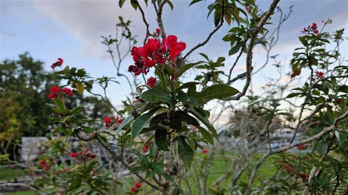 photo 13: 2827 SE 37TH AVENUE, OKEECHOBEE FL 34974