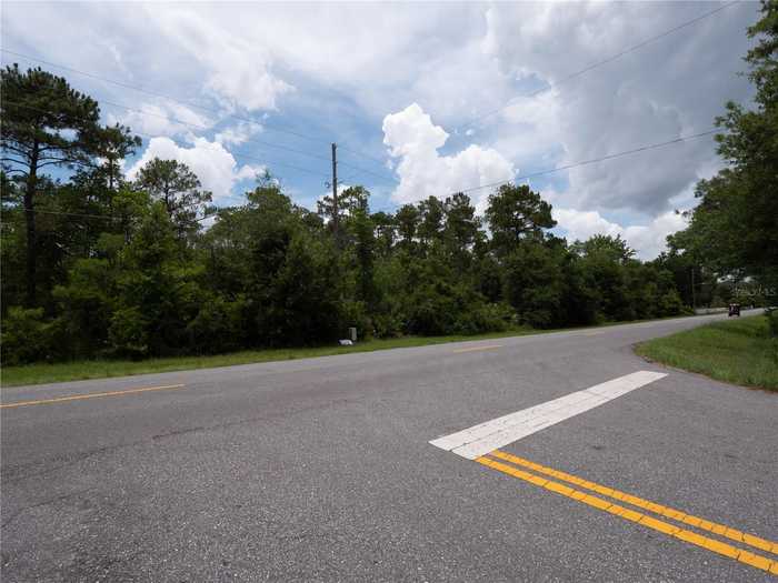 photo 10: WEKIVA RIVER ROAD ROAD, SORRENTO FL 32776