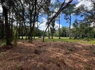 photo 2: 8350 TREIMAN BOULEVARD, WEBSTER FL 33597