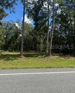 photo 2: 8350 TREIMAN BOULEVARD, WEBSTER FL 33597