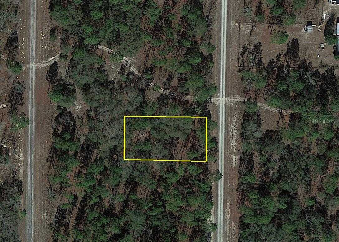 photo 3: TBD SE 136TH AVENUE, DUNNELLON FL 34431