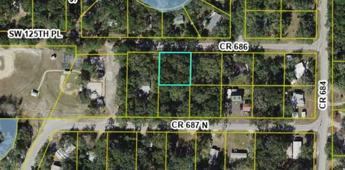 photo 1: Lot #5 CR 687 N, WEBSTER FL 33597