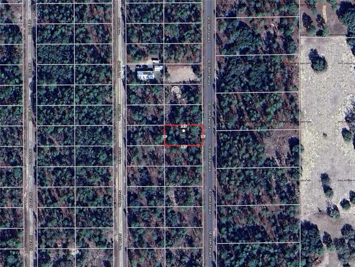 photo 2: TBD SE 136TH TERRACE, DUNNELLON FL 34431