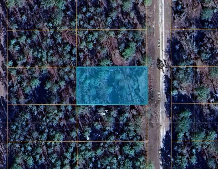 photo 2: TBD SE 134TH COURT, DUNNELLON FL 34431