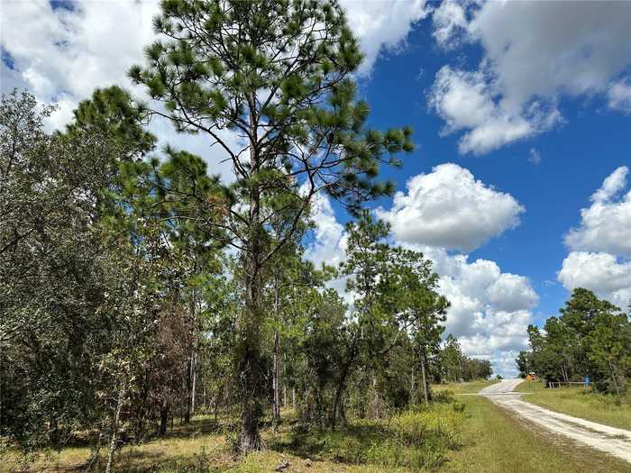 photo 9: TBD SE 134TH COURT, DUNNELLON FL 34431