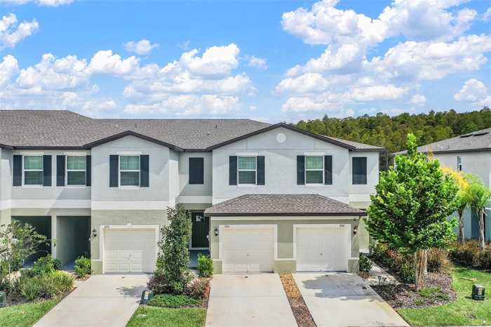 photo 1: 2166 GREAT SAPPHIRE LANE, LUTZ FL 33558