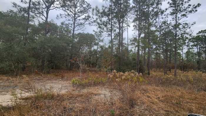 photo 1: SW MANDRAKE DRIVE, DUNNELLON FL 34431