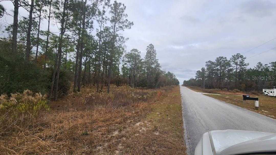 photo 3: SW MANDRAKE DRIVE, DUNNELLON FL 34431