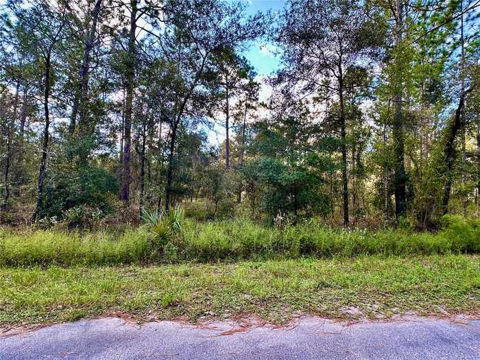 photo 1: LOT 16 NW SUMMERFIELD AVENUE, DUNNELLON FL 34431