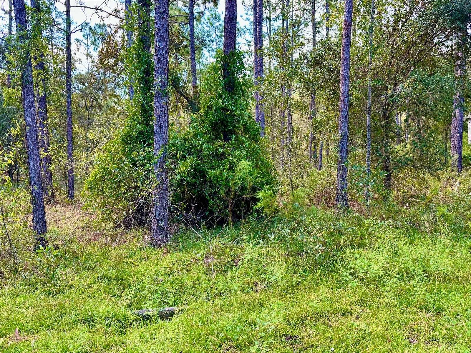 photo 2: LOT 16 NW SUMMERFIELD AVENUE, DUNNELLON FL 34431