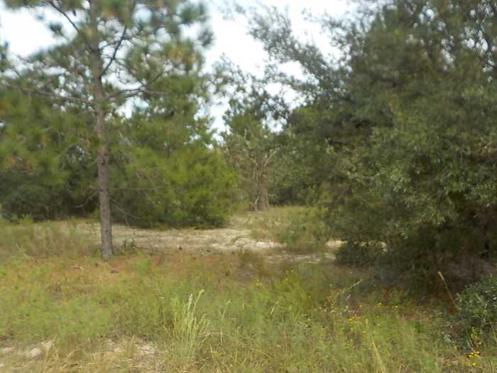 photo 2: lot 21 SW FLORAL COURT, DUNNELLON FL 34431