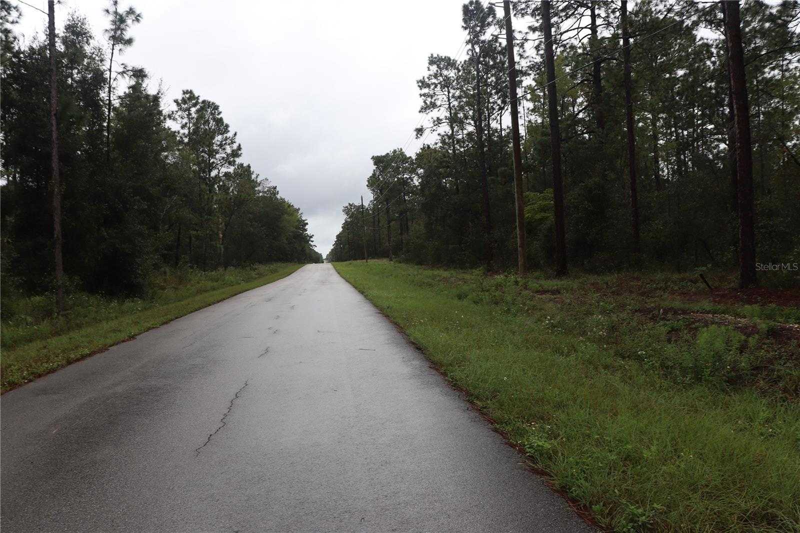 photo 3: NW BEUNA VISTA RD, DUNNELLON FL 34431