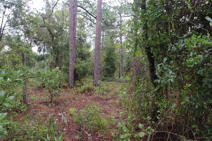 photo 5: NW BEUNA VISTA RD, DUNNELLON FL 34431