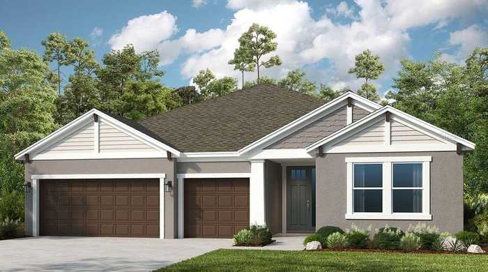 photo 1: 33957 ANCHOR LIGHT LANE, WESLEY CHAPEL FL 33543