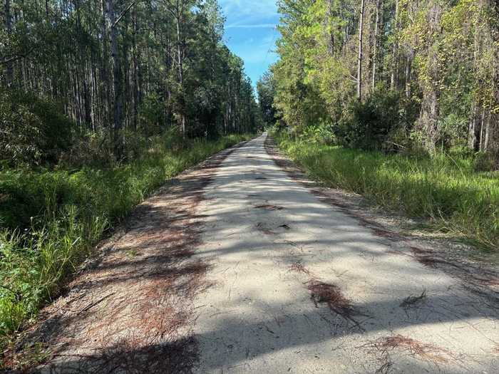 photo 1: NE 22ND LANE, HAWTHORNE FL 32640