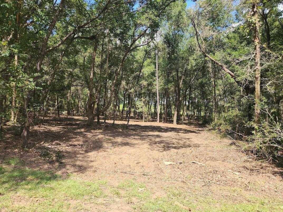 photo 1: SW PINE BLUFFS ROAD, DUNNELLON FL 34431