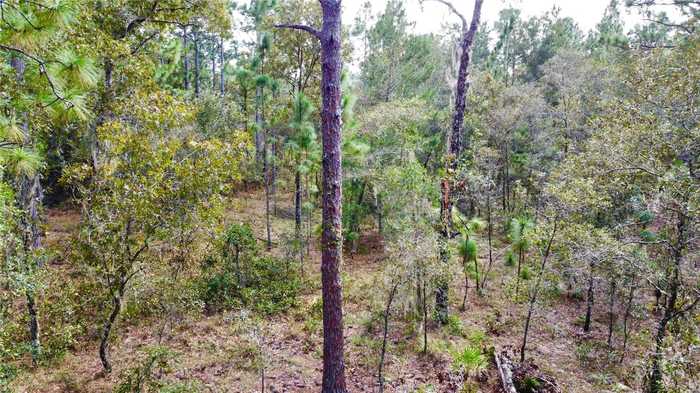 photo 2: NW HILLSDALE AVENUE, DUNNELLON FL 34431