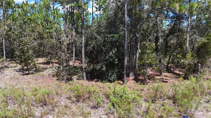 photo 1: Lot 33 SW NEPTUNE BOULEVARD, DUNNELLON FL 34431