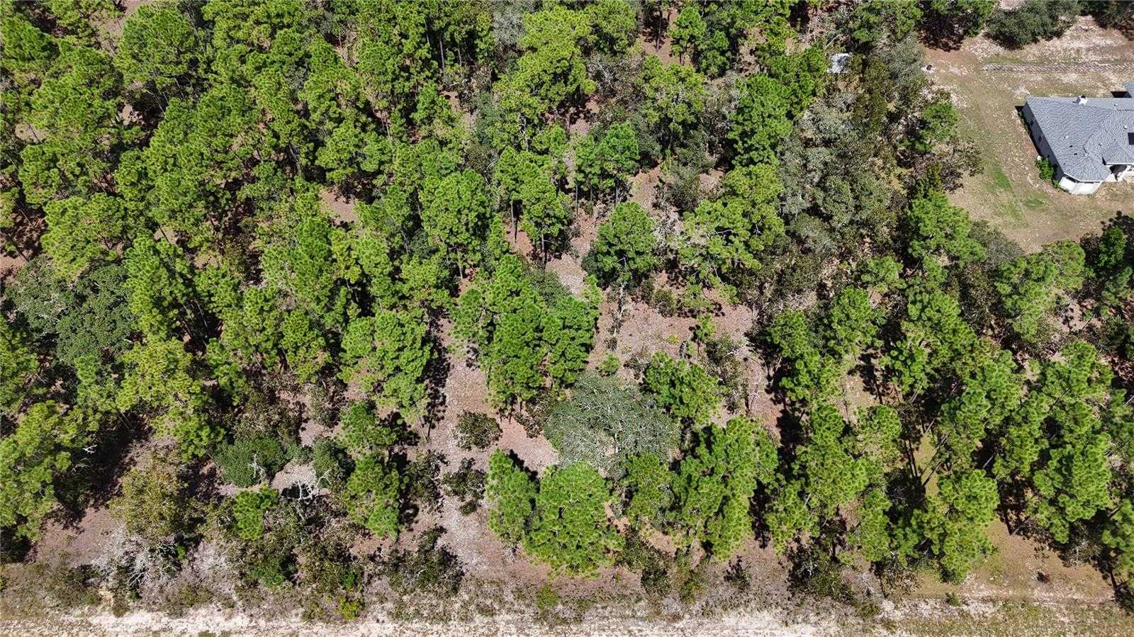 photo 3: Lot 33 SW NEPTUNE BOULEVARD, DUNNELLON FL 34431