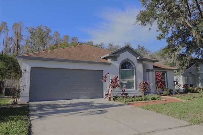 photo 2: 1143 TIMBER TRACE DRIVE, WESLEY CHAPEL FL 33543