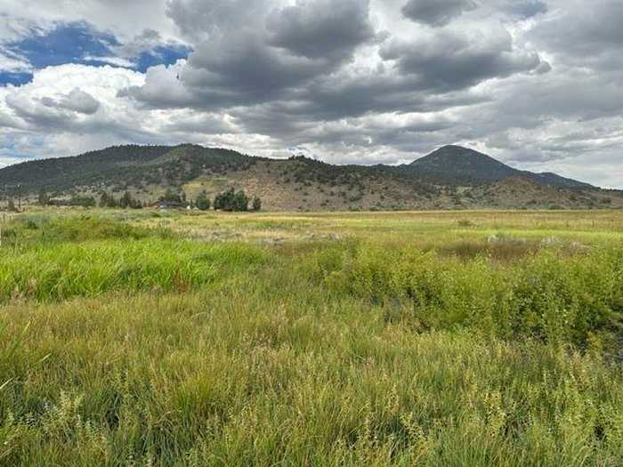 photo 2: Lot 3 Highway 395, Bridgeport CA 93517