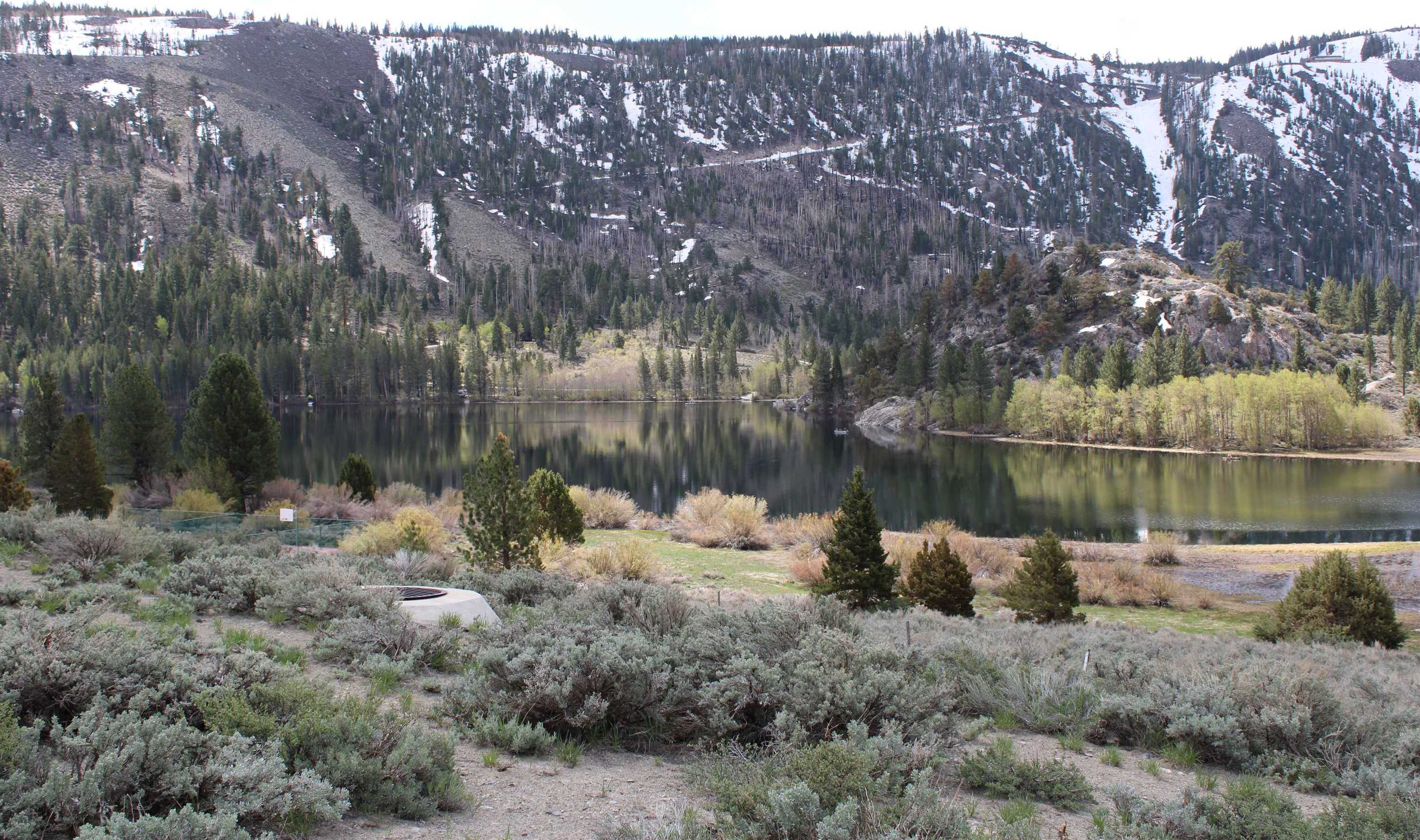 photo 3: Northshore Drive, June Lake CA 93529