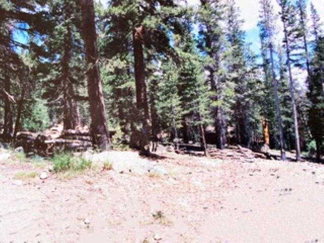 photo 3: 90 Pinecrest, Virginia Lakes CA 93517