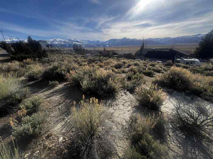 photo 2: 7 Rickey Peak Rd Road, Bridgeport CA 93517