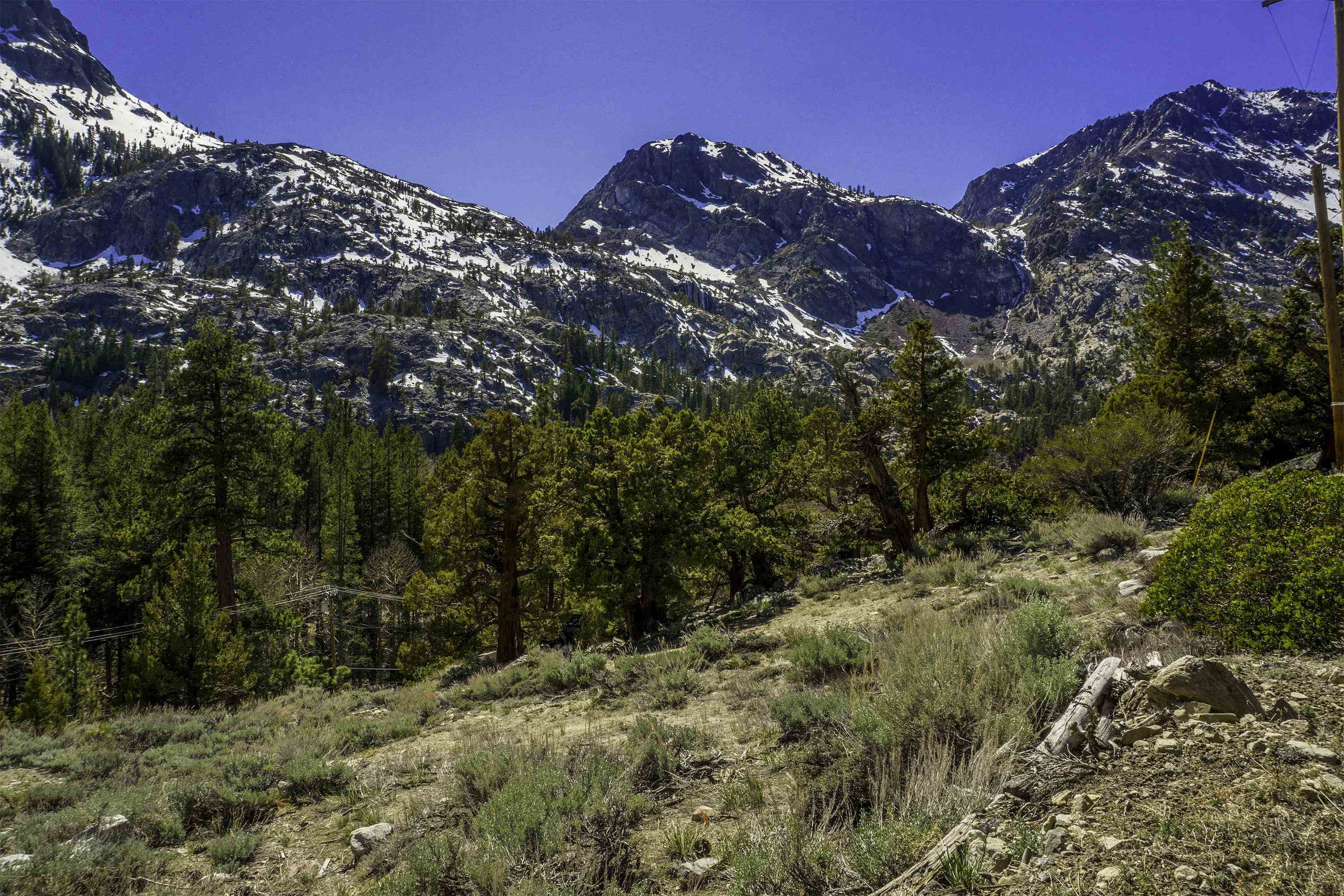 photo 3: APN: 016-143-05 Wyoming Street, June Lake CA 93529