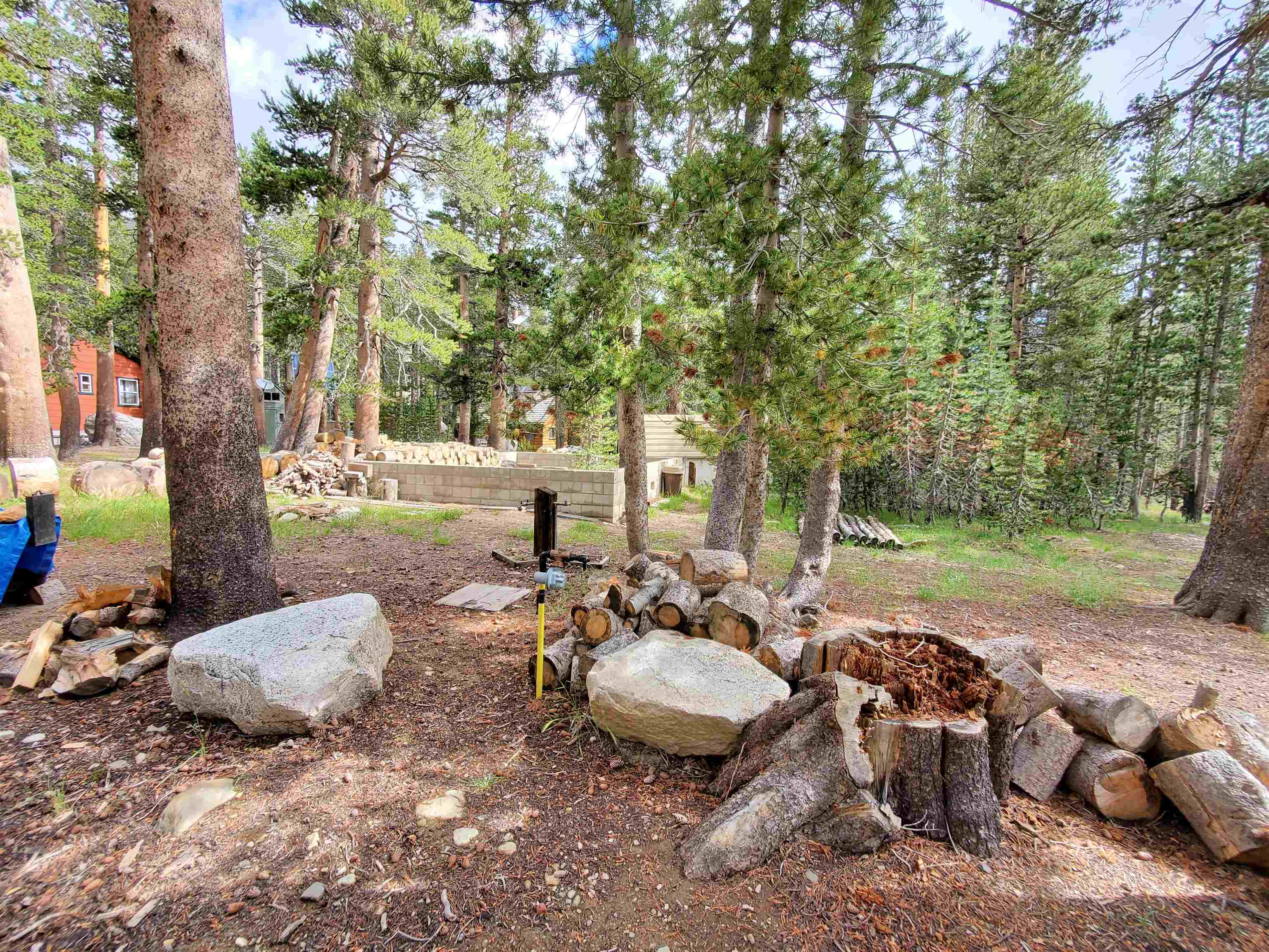 photo 2: 6 Lodgepole Drive, Virginia Lakes CA 93517