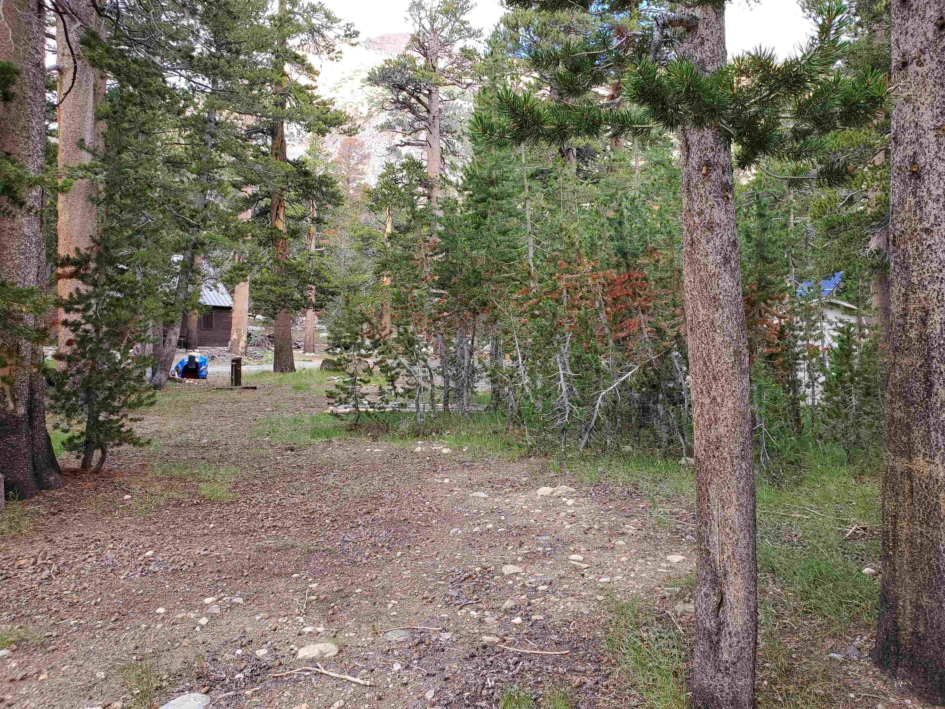 photo 3: 6 Lodgepole Drive, Virginia Lakes CA 93517