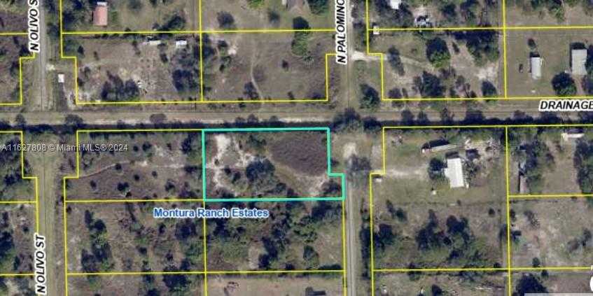 photo 2: 370 N Palomino St, Clewiston FL 33440