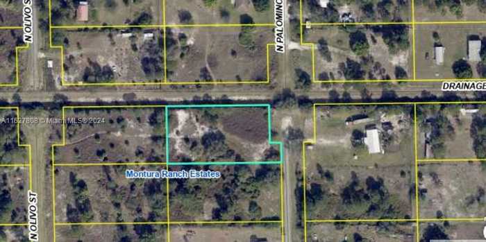 photo 2: 370 N Palomino St, Clewiston FL 33440