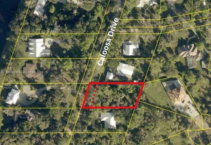 photo 2: 385 Caloosa Dr, La Belle FL 33935