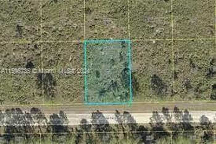 photo 2: E Ave Helms Rd, La Belle FL 33935