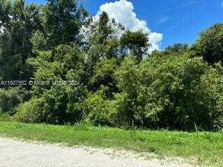 photo 3: 160 S Datil St, Clewiston FL 33440