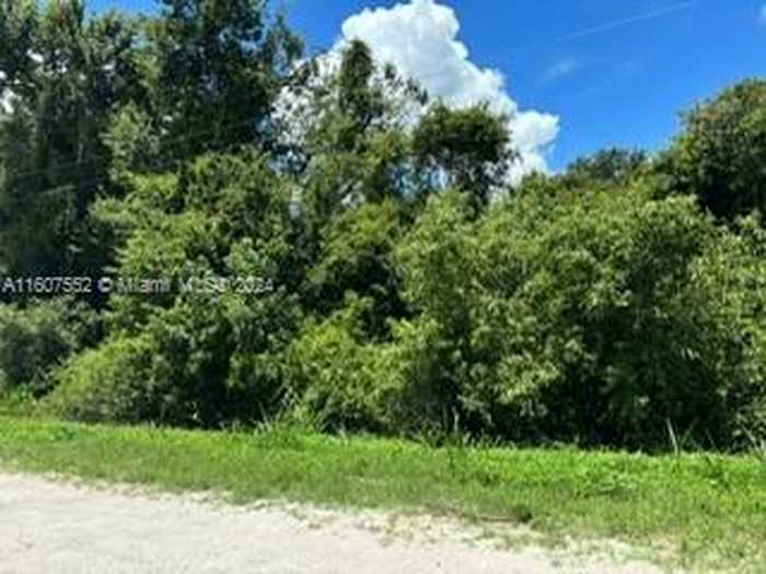 photo 3: 160 S Datil St, Clewiston FL 33440