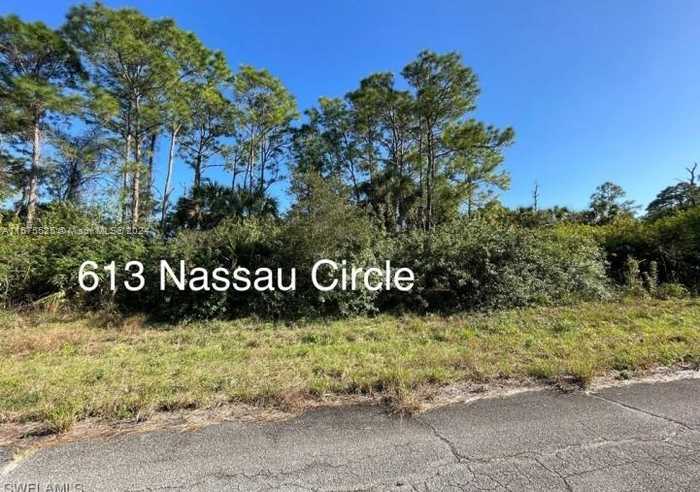 photo 2: 613 NASSAU, La Belle FL 33935