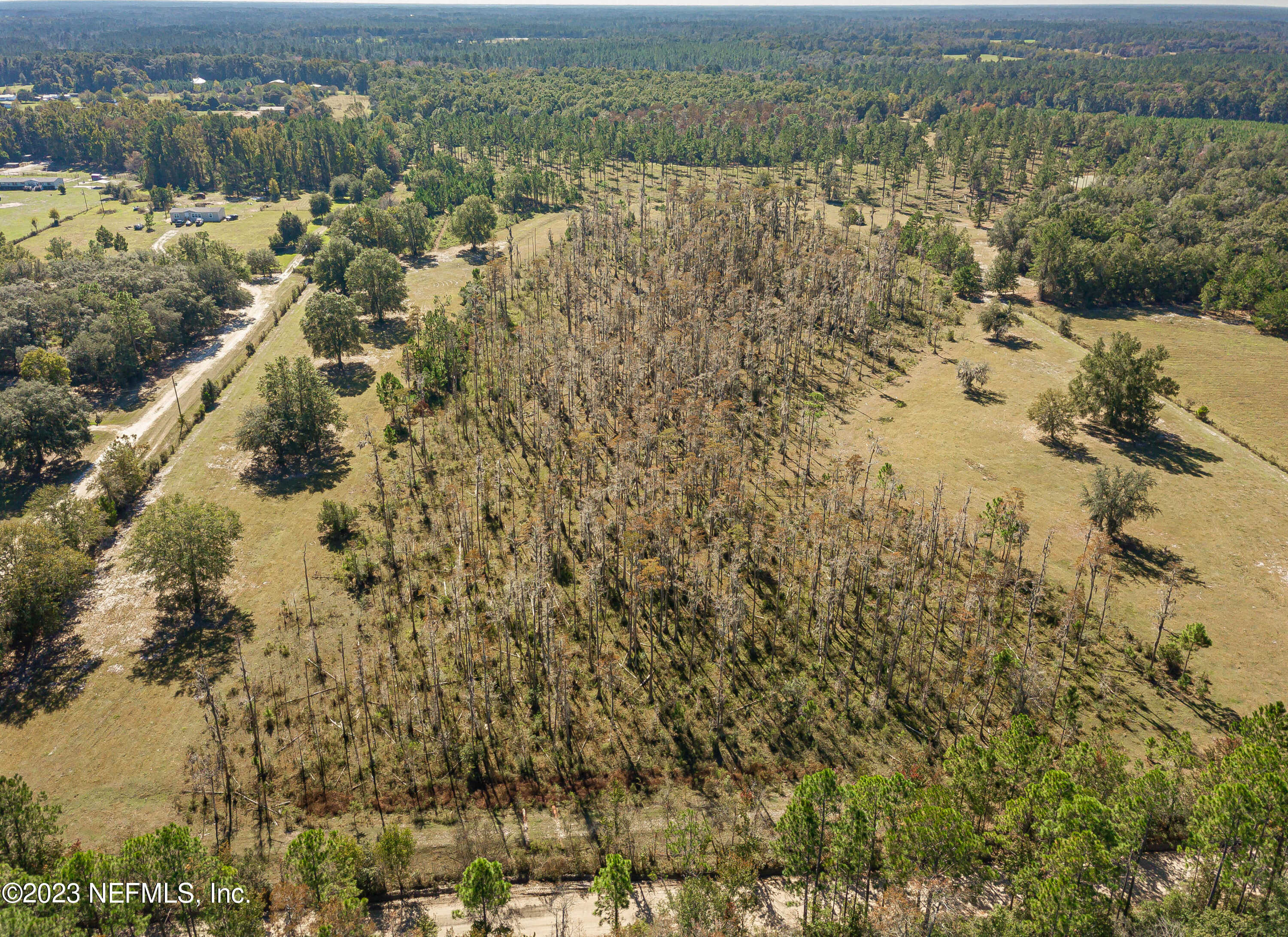 photo 3: CARL BROWN Road, Sanderson FL 32087